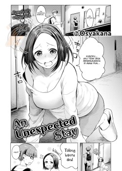 Sampul An Unexpected Stay