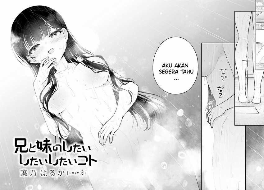 Ani to Imouto no Shitai Shitai Shitai Koto: Chapter chapter-2 - Page 3