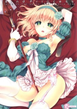 Sampul Bind Princess