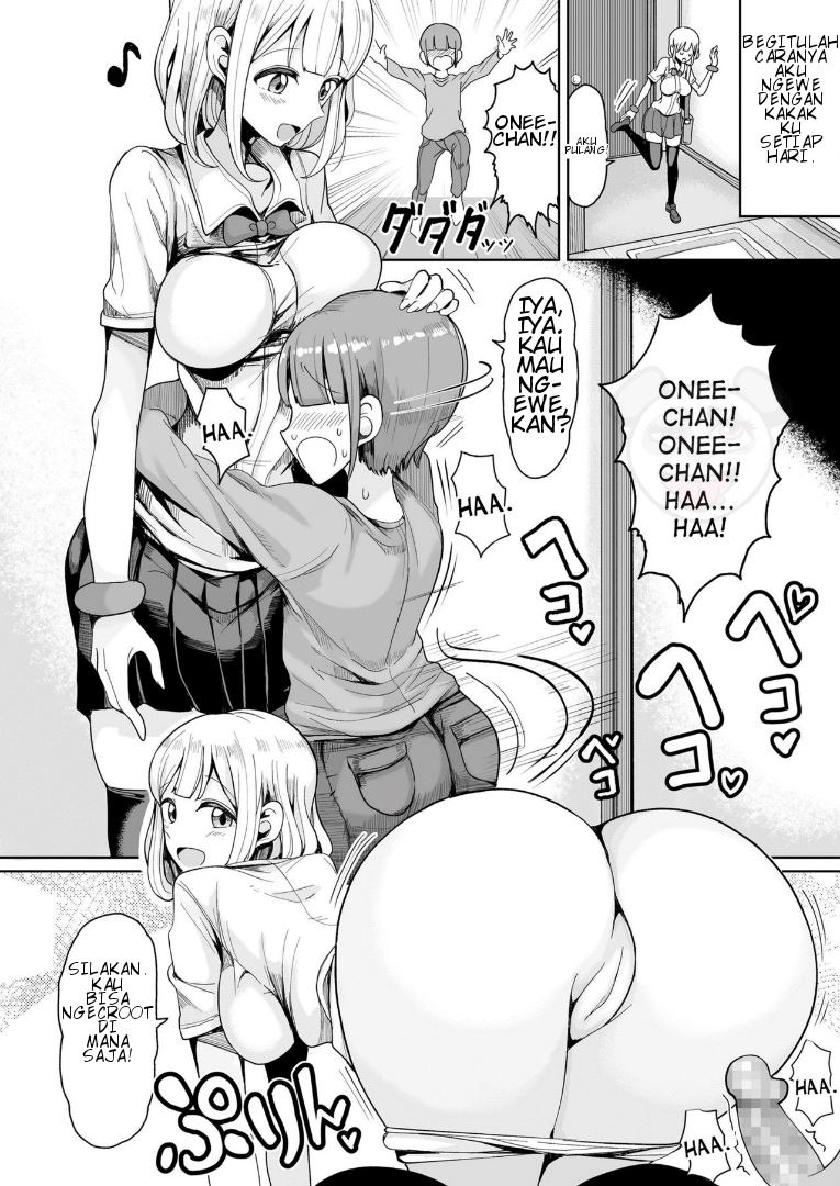 Boku no Onee-chan ni wa Teisou Gainen ga Nai: Chapter chapter-1 - Page 5
