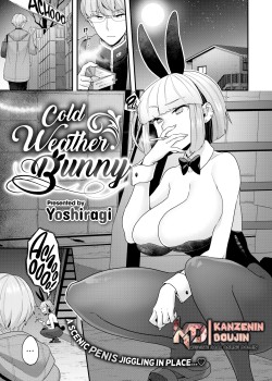 Sampul Cold Weather Bunny End