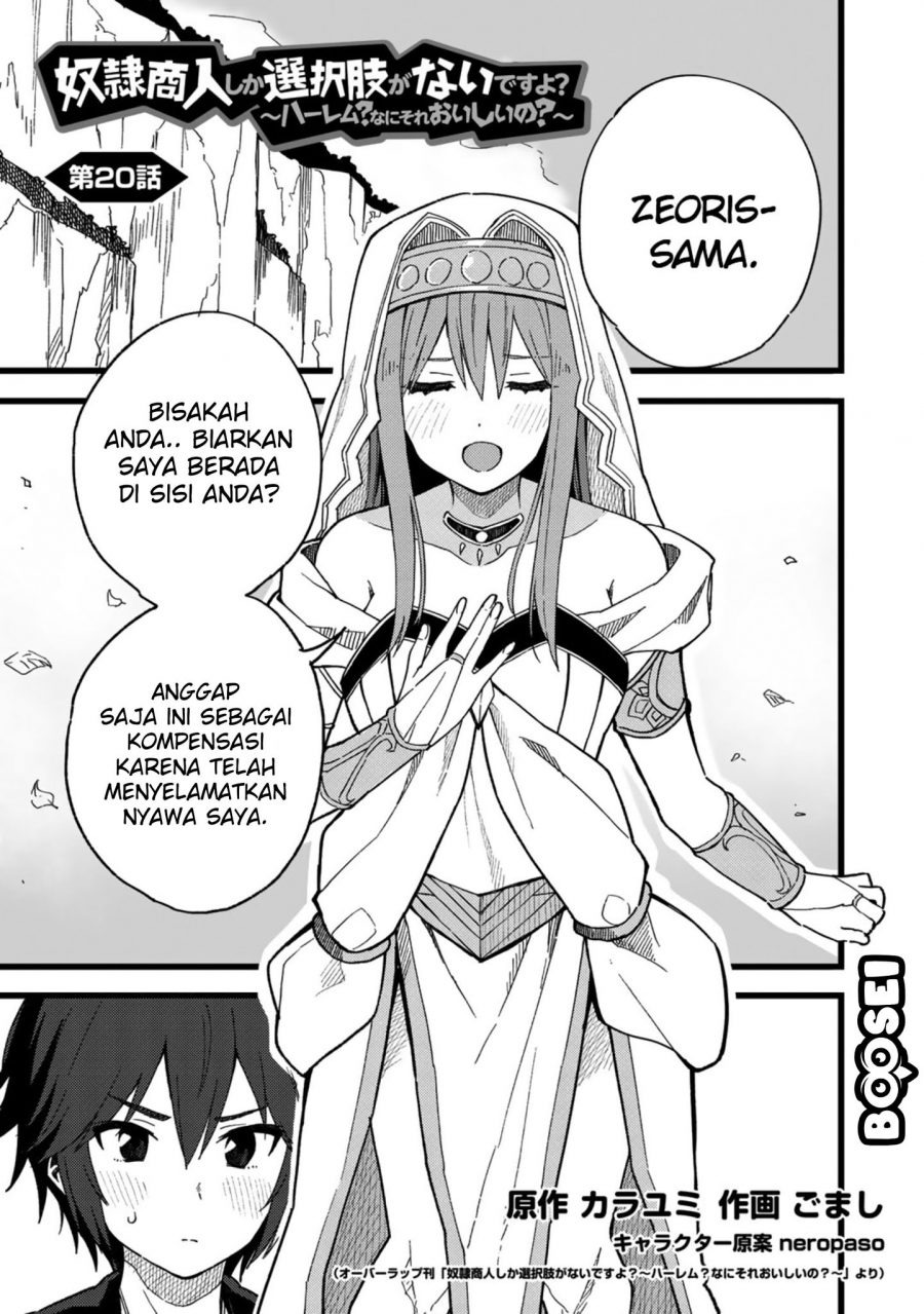 Dorei Shounin Shika Sentakushi Ga Nai desu Yo? ~Harem? Nani sore oishii no?~: Chapter chapter-20 - Page 2