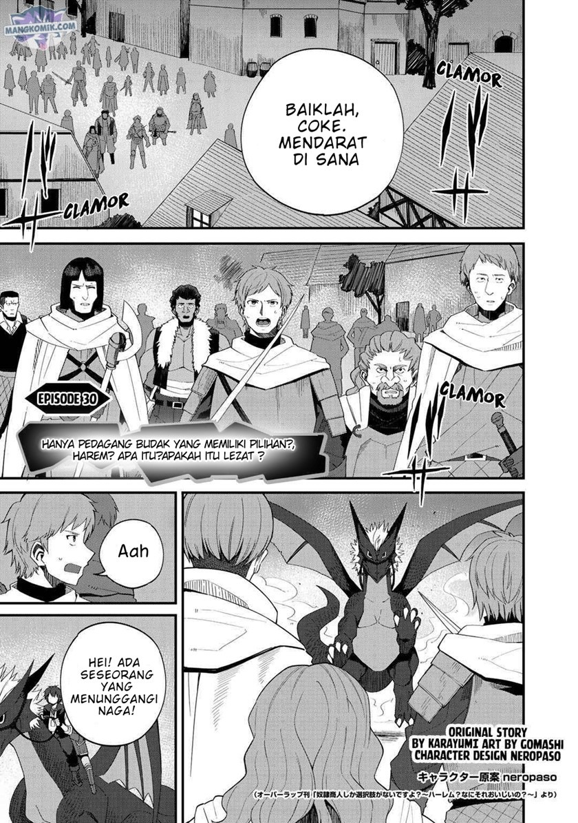 Dorei Shounin Shika Sentakushi Ga Nai desu Yo? ~Harem? Nani sore oishii no?~: Chapter chapter-30 - Page 2