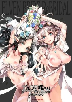 Sampul Elf no Yomeiri Re-Bridal