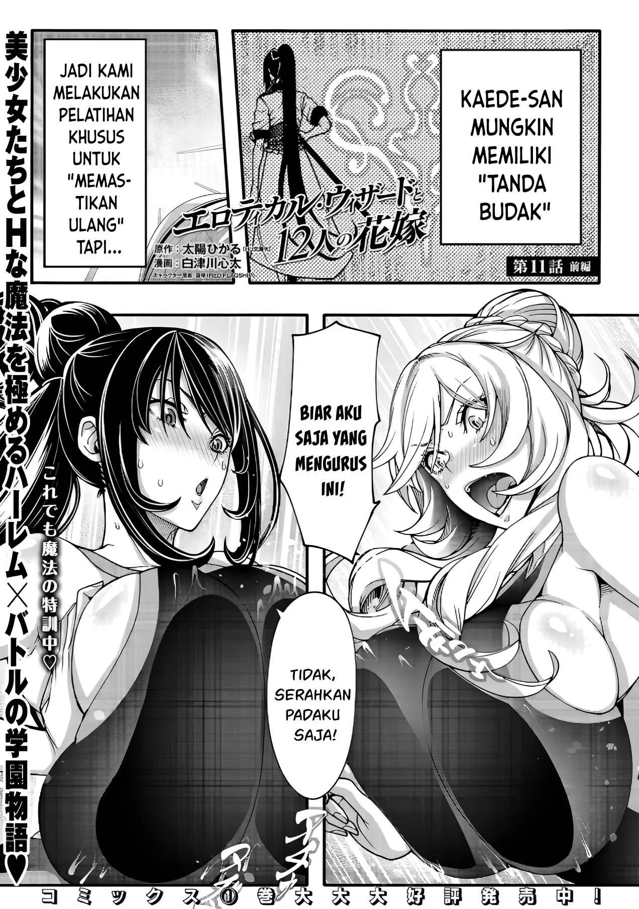 Erotical Wizard & Twelve Brides: Chapter chapter-11.1 - Page 2