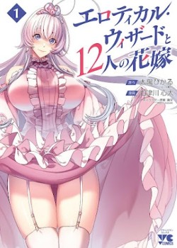 Erotical Wizard & Twelve Brides