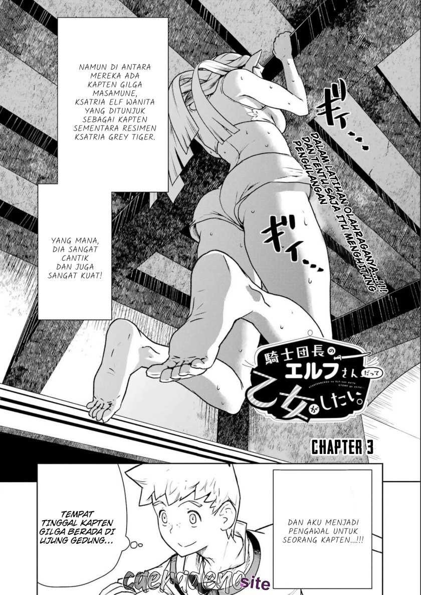 Even the Captain Knight, Miss Elf, Wants to be a Maiden: Chapter chapter-3 - Page 3