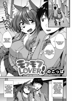 Sampul Fluffy Lover