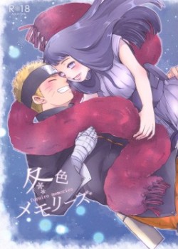 Sampul Fuyuiro Memories