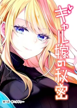 Sampul Gal Yome no Himitsua