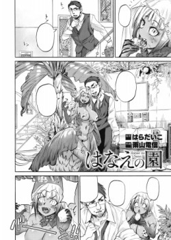 Sampul Hanae no Sono
