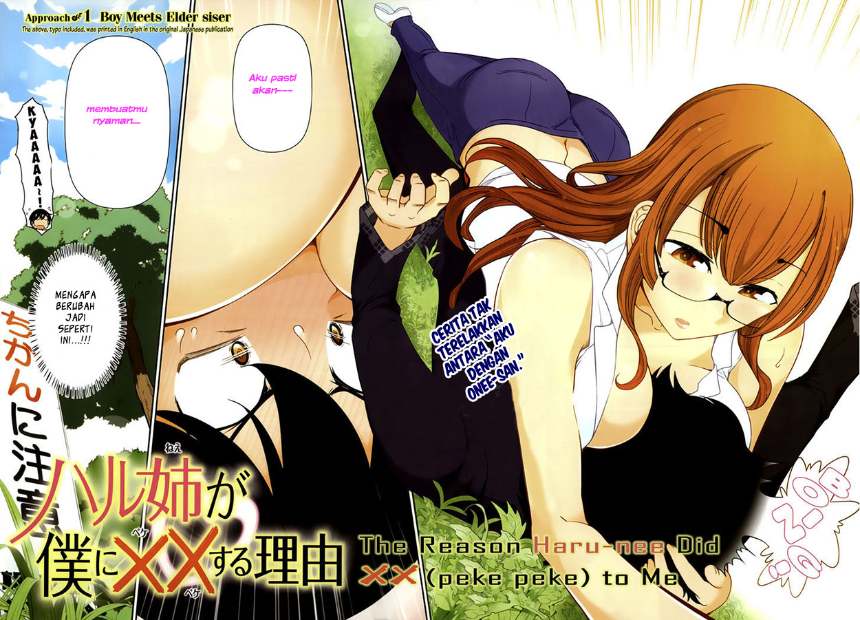 Haru-nee ga Boku ni XX Suru Riyuu: Chapter chapter-01 - Page 3