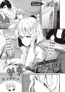 Sampul Himitsu no Veil