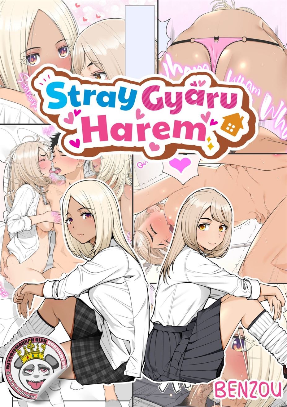 Iede Gal o Hirottara Harem ni Natta Hanashi: Chapter chapter-1 - Page 2
