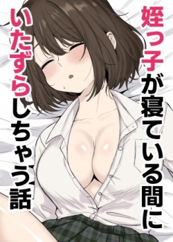 Sampul Meikko ga Neteiru Aida ni Itazura Shichau Hanashi