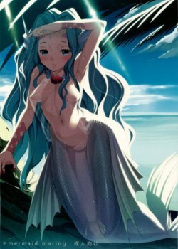 Sampul mermaid mating