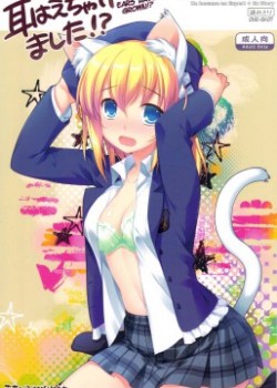 Sampul Mimi Haechaimashita!?