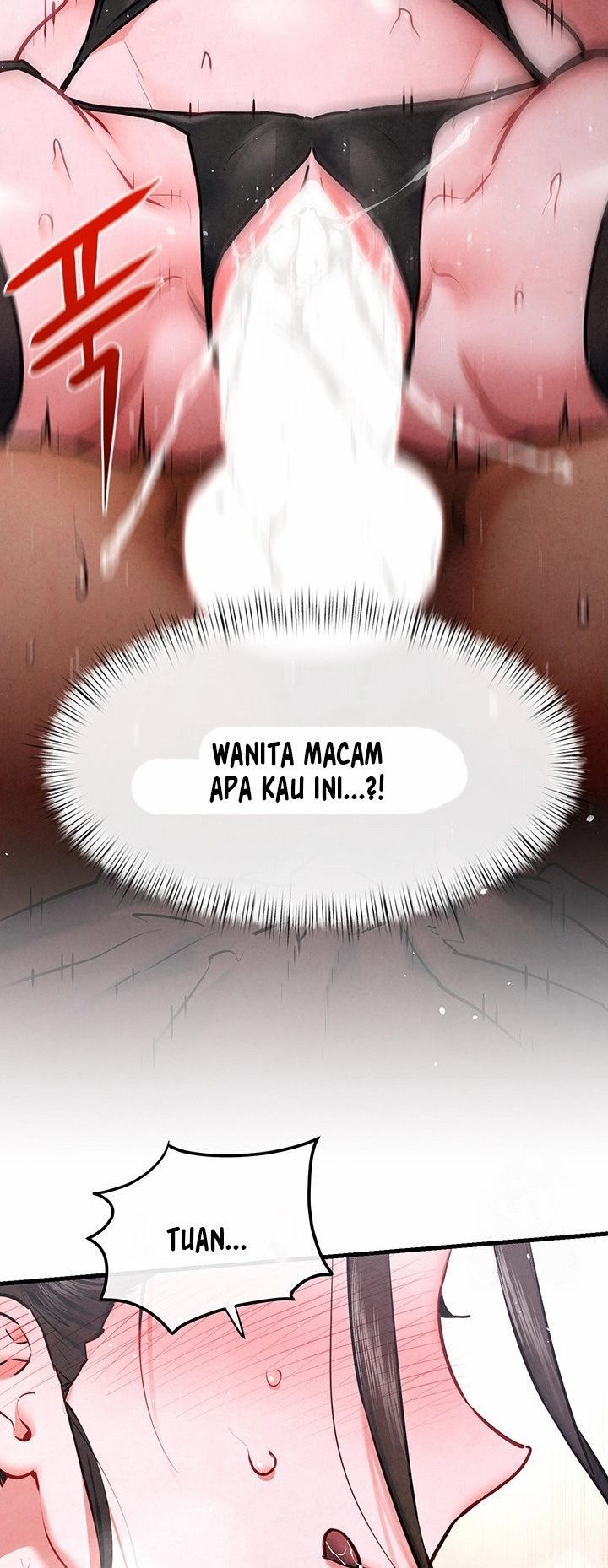 Moby Dick: Chapter chapter-62 - Page 17