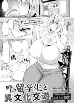 Sampul Muchimuchi Ryuugakusei to Ibunka Kouyuu
