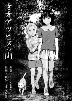 Sampul Oogetsuhime no Yama