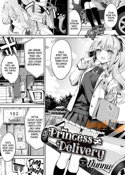 Sampul Princess Delivery