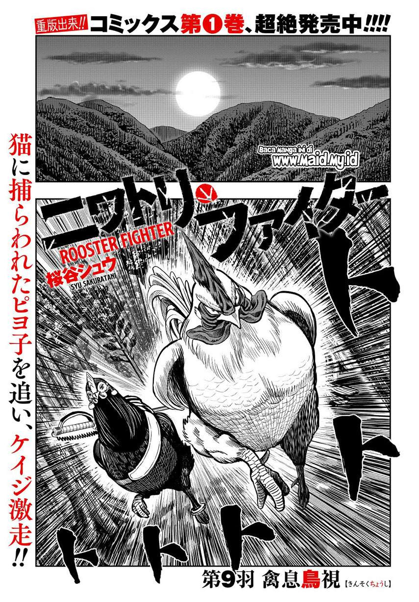 Rooster Fighter: Chapter chapter-9 - Page 3
