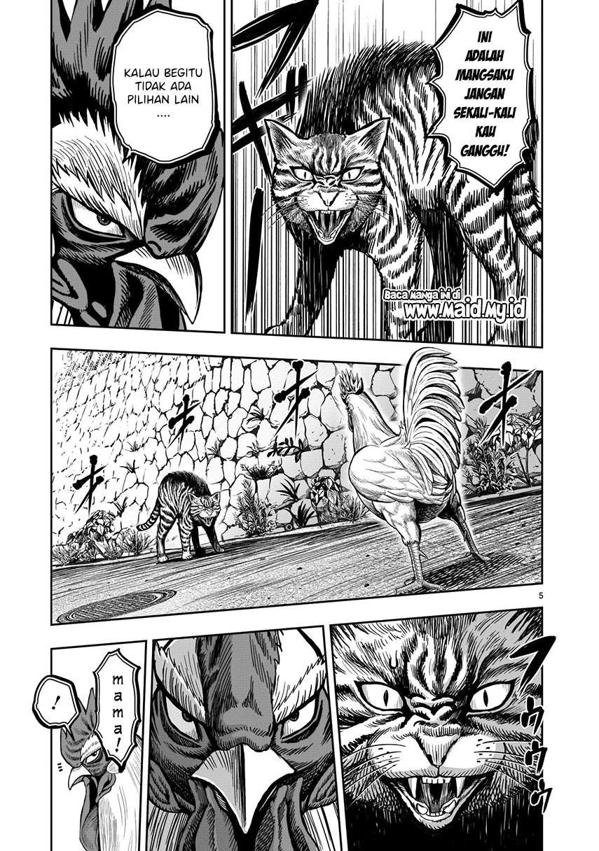 Rooster Fighter: Chapter chapter-9 - Page 7