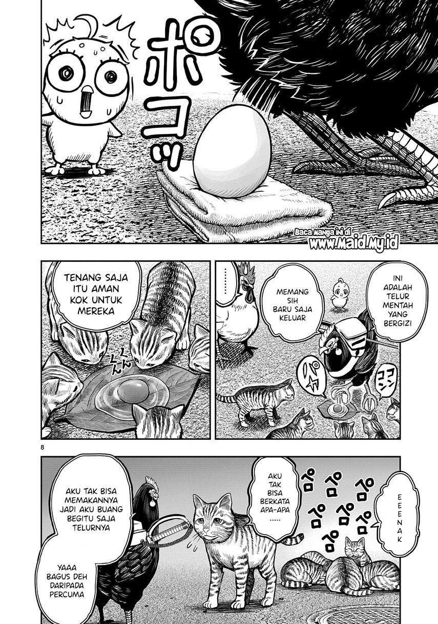 Rooster Fighter: Chapter chapter-9 - Page 10