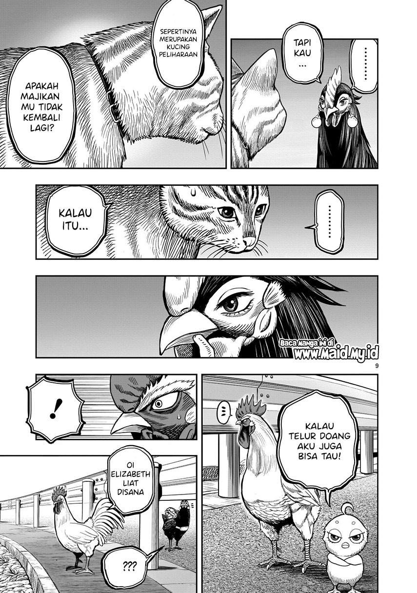 Rooster Fighter: Chapter chapter-9 - Page 11