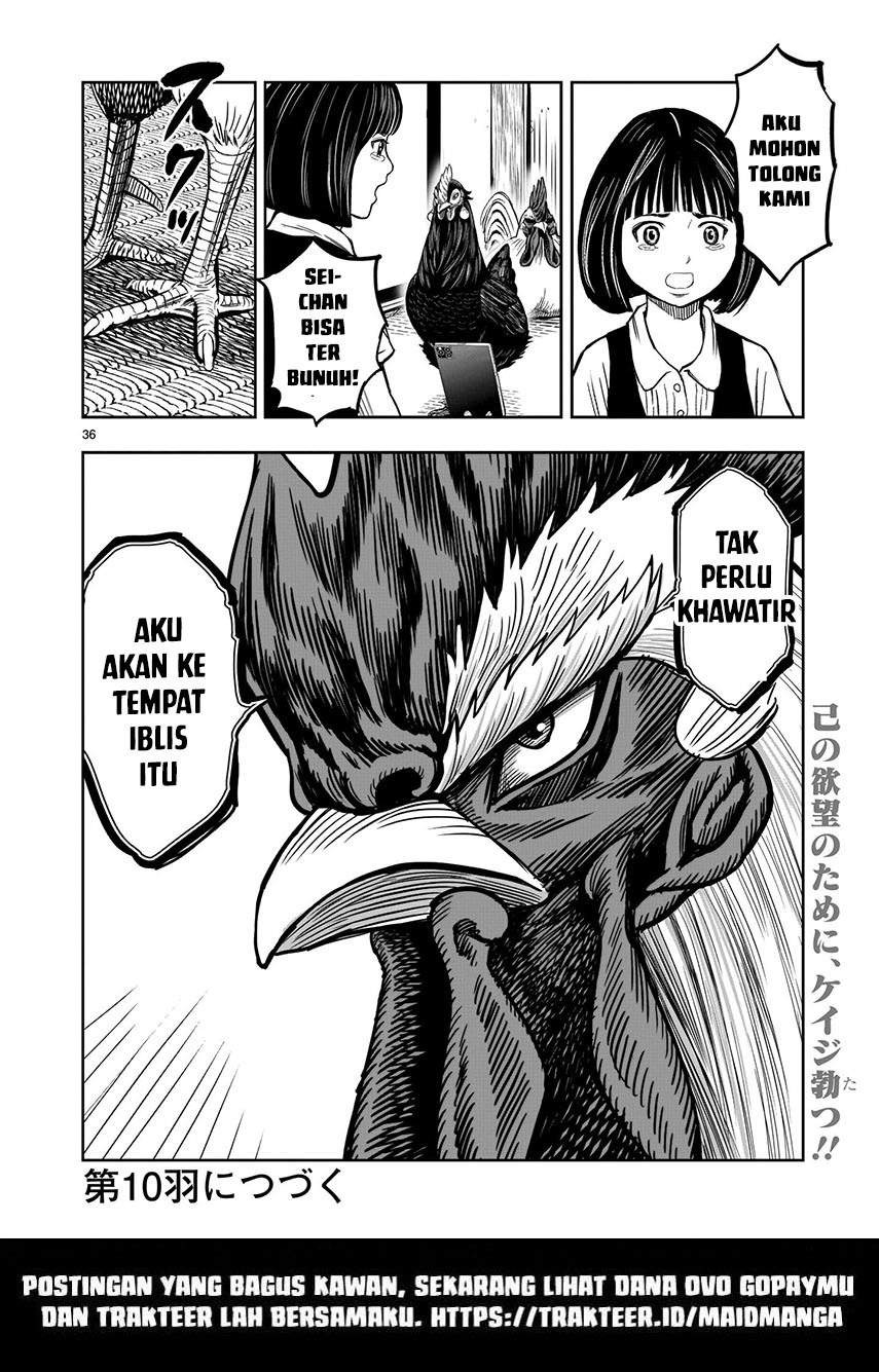 Rooster Fighter: Chapter chapter-9 - Page 37