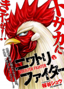 Sampul Rooster Fighter