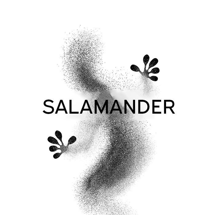 Salamander: Chapter chapter-3 - Page 20