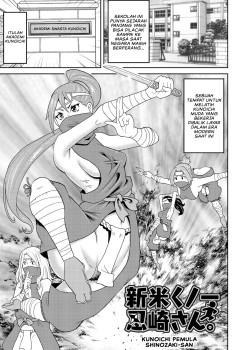 Sampul Shinmai Kunoichi Shinozaki-san