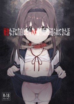 Sampul Suki na Ko ni Kokuhaku Shitara Hamedori Douga ga Okurarete Kita Hanashi