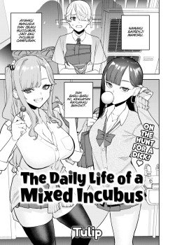 Sampul The Daily Life of a Mixed Incubus