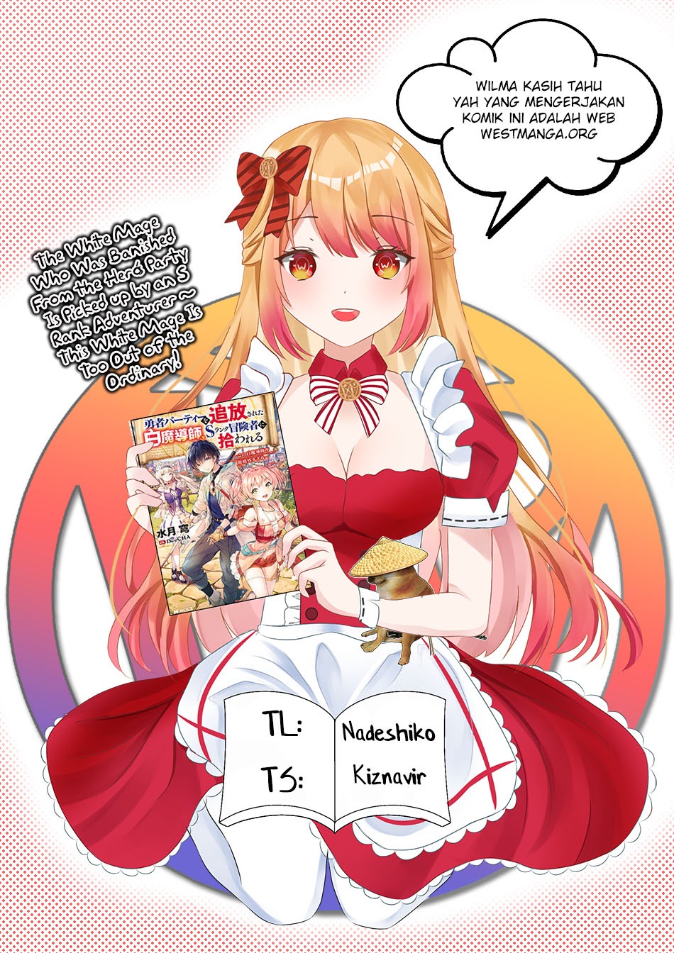 The White Mage Who Was Banished From the Hero’s Party Is Picked up by an S Rank Adventurer ~ This White Mage Is Too Out of the Ordinary!: Chapter chapter-20.2 - Page 3