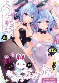 Sampul Usagi ga Futari ni Nacchatta!
