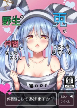 Sampul Yasei no Usagi ga Nakama ni Naritasou ni Kochira wo Miteiru