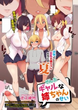 Sampul Zenbu Gal na Nee-chan no Sei